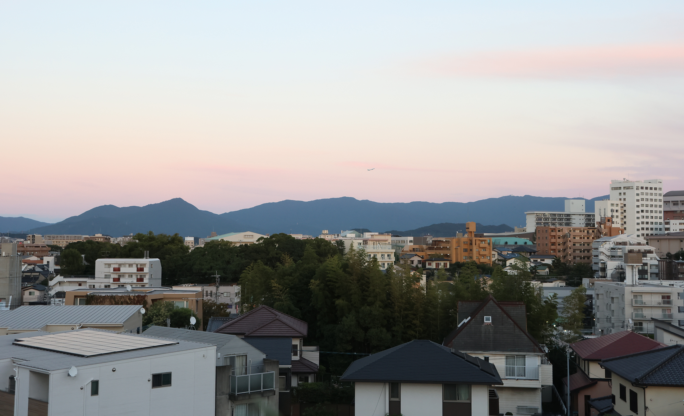 福岡　コレクター探訪記