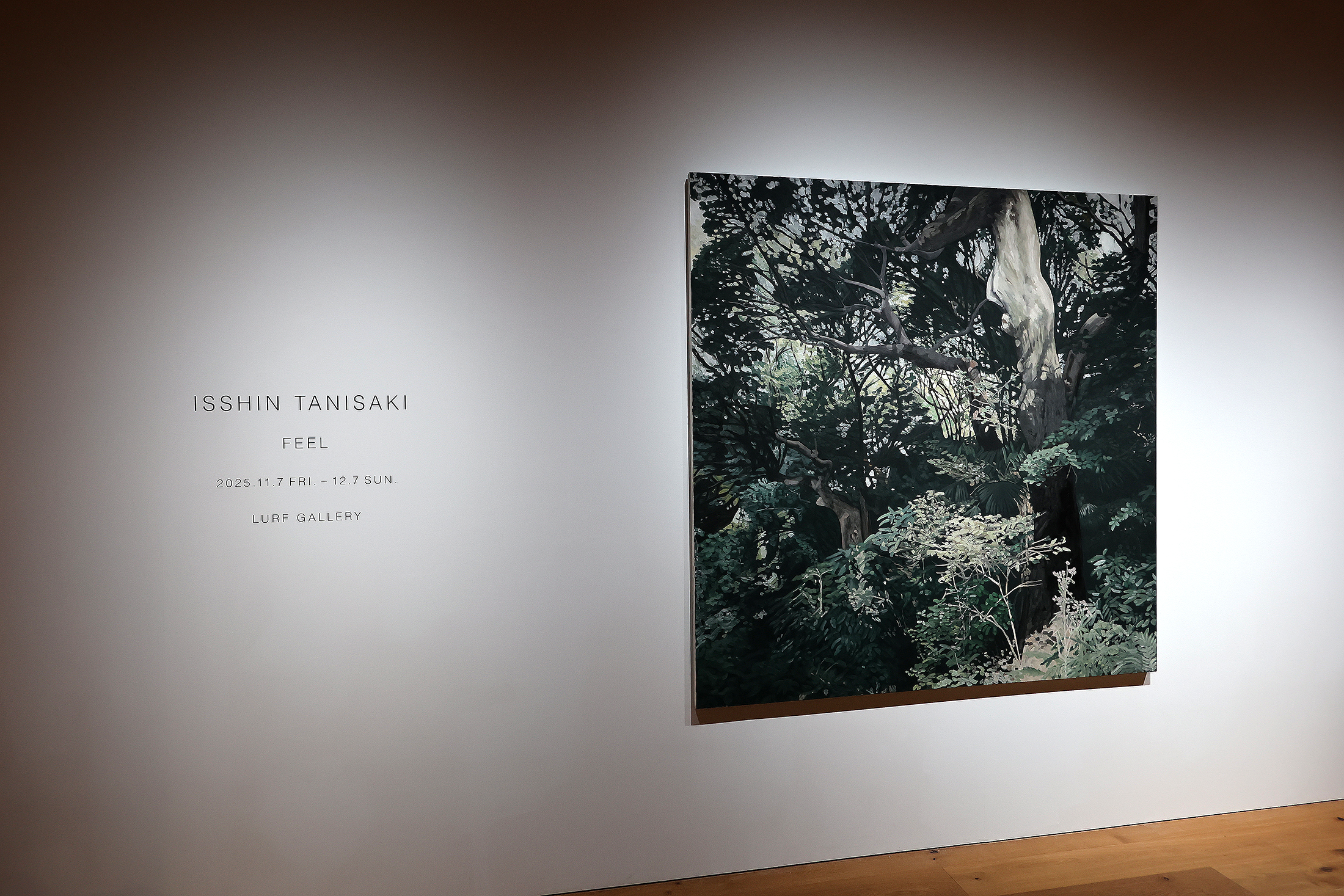 ISSHIN TANISAKI「FEEL」LURF GALLERY
