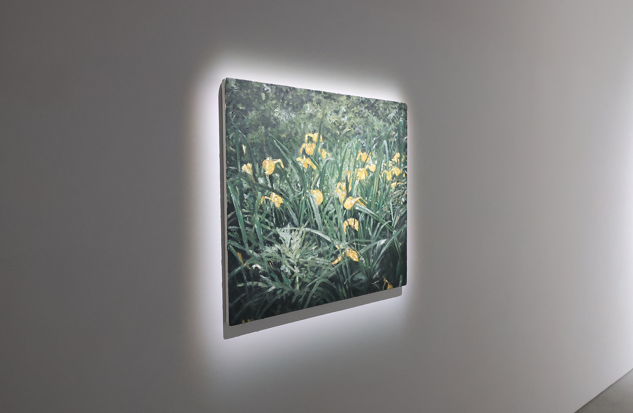 ISSHIN TANISAKI「FEEL」LURF GALLERY