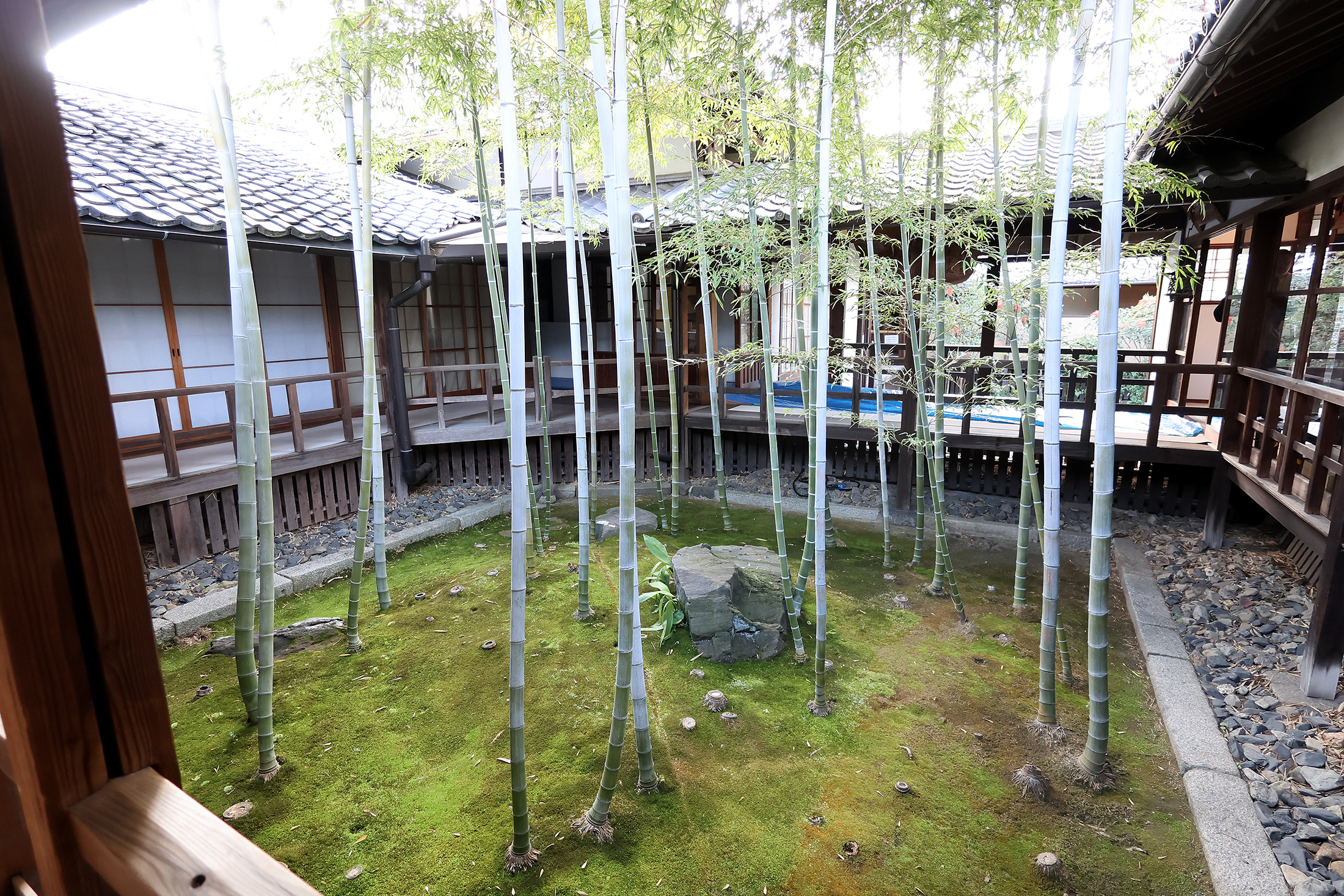 「Wilhelm Kåge. Berndt Friberg. Stig Lindberg. The Master and Disciples」 CURATION ⇄ FAIR Kyoto　京都大本山・妙顕寺