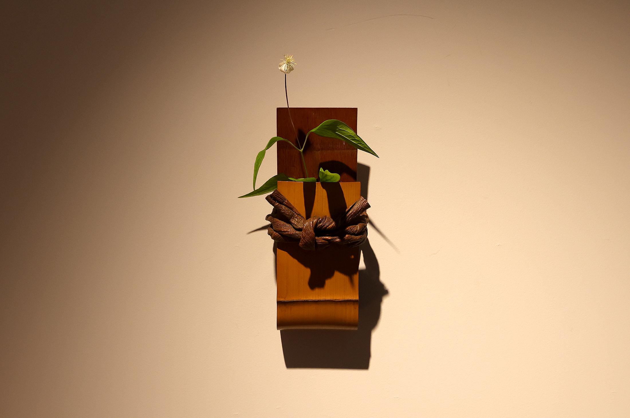 「NO BAMBOO, NO LIFE!」展　於 中長小西